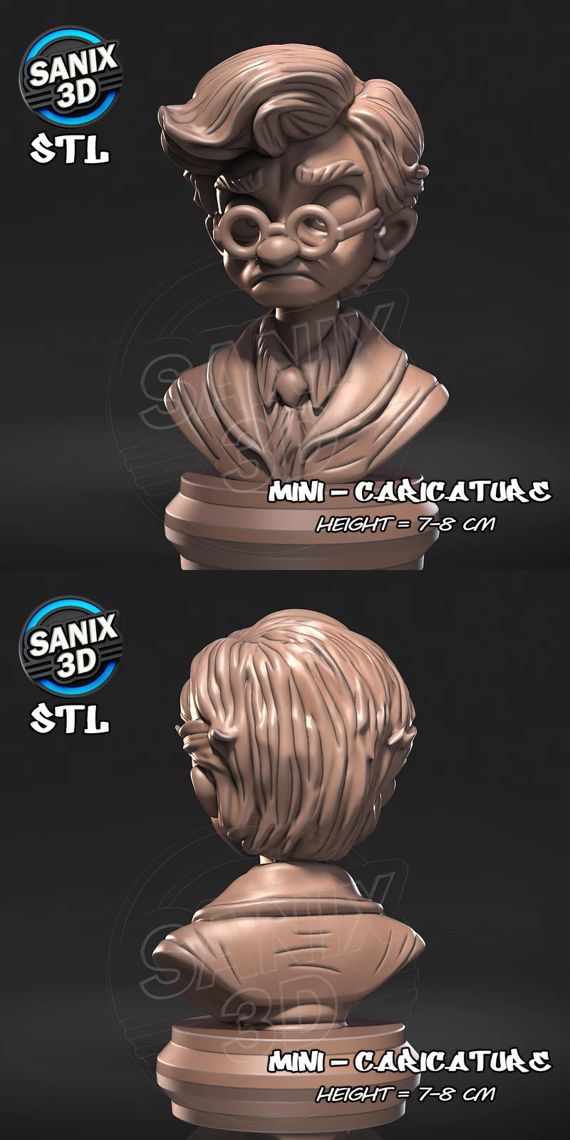Harry Potter Wizard Bust STL File for 3D Printing STL model for 3D printing