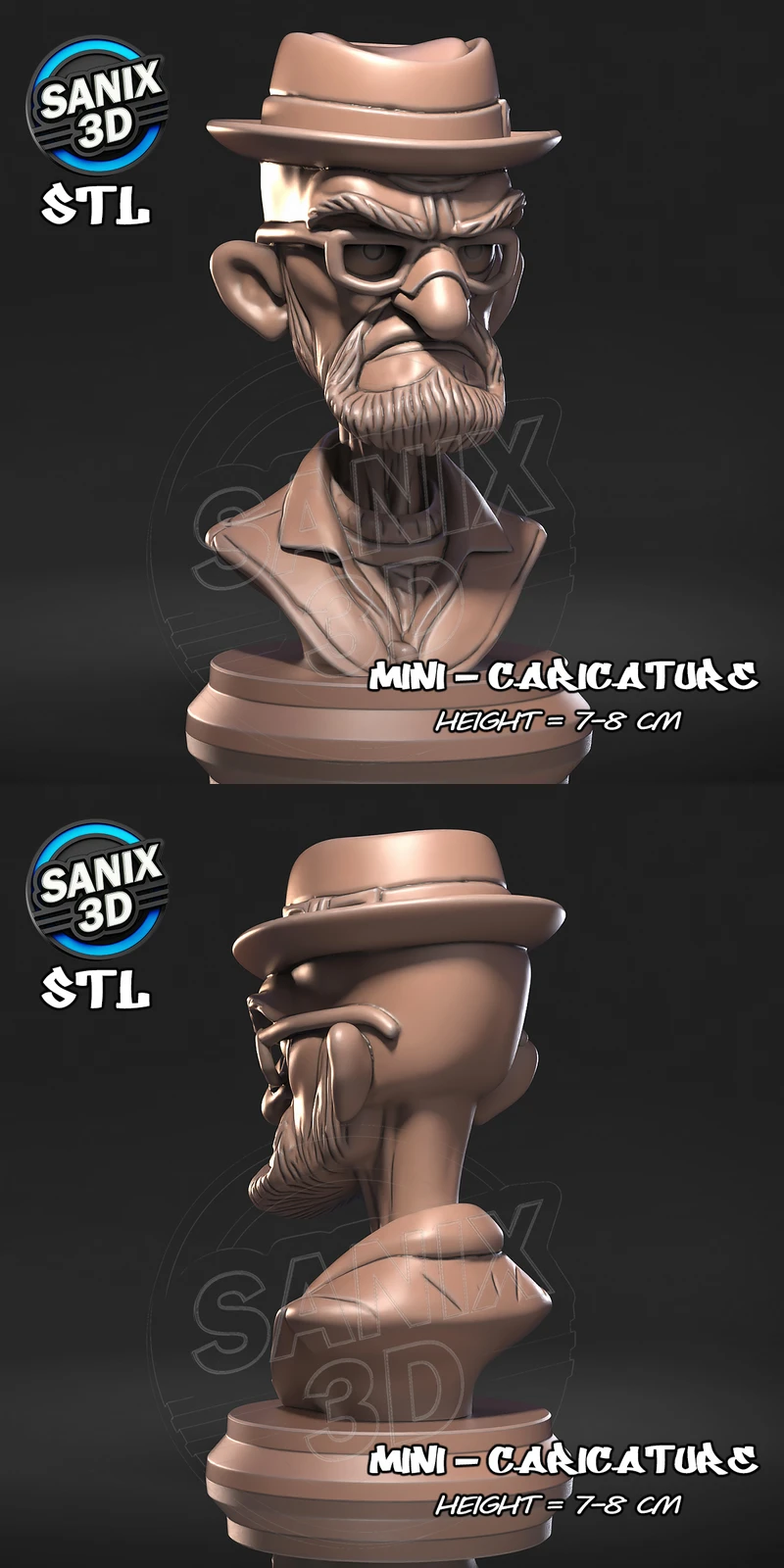Heisenberg Walter White 3D Printable STL Model for DIY Printers STL model for 3D printing